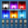 LED Canbus-lampa - billjus - W5W - T10 - 24 SMD - 12V - 6 st