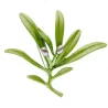 Elegancka broszka z zieloną oliwkąBroszki
