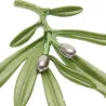 BrochesBroche elegante con aceituna verde