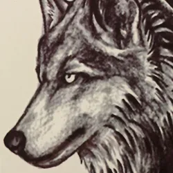 Loup - faux tatouage temporaire étanche