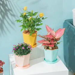 Geometrisk blomsterpotte - plastharpiks