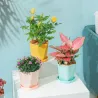 Geometrisk blomsterpotte - plastharpiks
