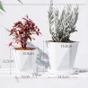 Geometrisk blomsterpotte - plastharpiks