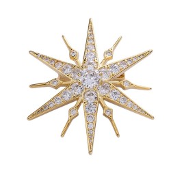 Luxuriöse sternförmige Brosche - Zirkonia