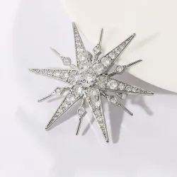 Lussuosa spilla a forma di stella - zirconi