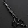 Ensemble de ciseaux de coiffeur professionnel - Acier japonais 440 - 6 pouces - Black Edition - ciseaux à cheveux - ciseaux à ef
