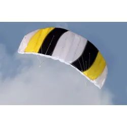 CometaCometa de playa deportiva colorida - 1,4 m de doble línea