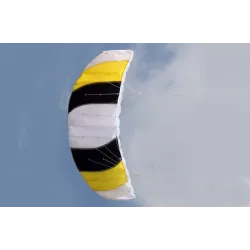 CometaCometa de playa deportiva colorida - 1,4 m de doble línea