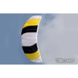 CometaCometa de playa deportiva colorida - 1,4 m de doble línea