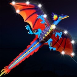 Kleurrijke drakenvlieger - met LED-verlichtingVliegers