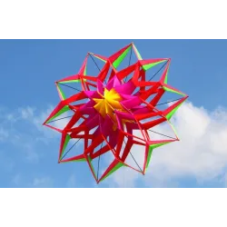 Cerf-volant sport / plage - fleur 3D - avec poignée / ligne