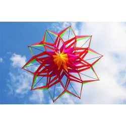 CometaCometa deportiva / de playa - flor 3D - con asa / línea