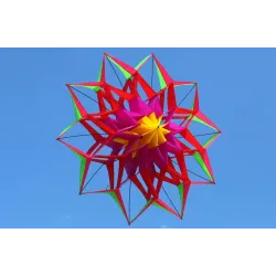 CometaCometa deportiva / de playa - flor 3D - con asa / línea
