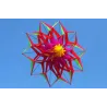 Sport / stranddrake - 3D blomma - med handtag / lina