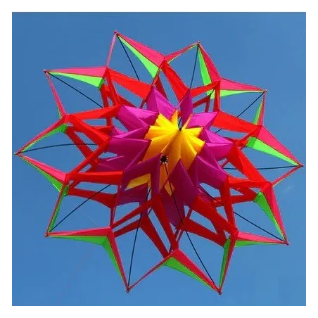 Sports / beach kite - 3D flower - with handle / lineKites