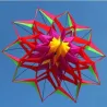 CometaCometa deportiva / de playa - flor 3D - con asa / línea