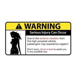 PegatinasEtiqueta engomada divertida del coche - "Sexy Girl Warning Serious Injury Can Occur"