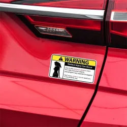 Rolig bilklistermärke - "Sexy Girl Warning Serious Injury Can Occur"