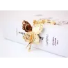 Ange chanceux en cristal avec des ailes - porte-clés