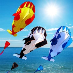 Reuzenwalvis - dolfijn - frameloos - strandvlieger met lijn - 2 meterVliegers