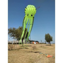 Cerf-volant de plage sport - gonflable - pliable - pieuvre rayée - 8M