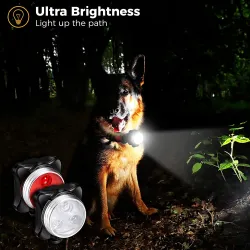 Lampe pour collier de chien - LED - sécurité - marche nocturne