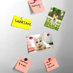 Glass fridge magnets - round stickers - 5 / 10 piecesFridge magnets