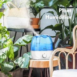 Ultraschall-Luftbefeuchter - 360 Grad einstellbar - 2,6 L