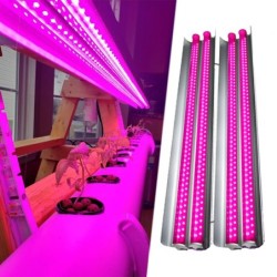 100 W LED-Lichtleisten für den Pflanzenanbau im Innenbereich - Beleuchtung anbauen