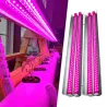 Strisce luminose a LED da 100 W per la coltivazione di piante da interno - coltiva l'illuminazione