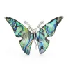 BrochesBroche mariposa concha natural