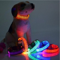 LED-halsbånd til hund - sikkerhetsnatttur - fargerikt leopardmønster