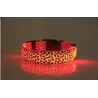 LED-Hundehalsband - Safety Night Walk - bunter Leoparden-Print