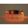 LED-Hundehalsband - Safety Night Walk - bunter Leoparden-Print
