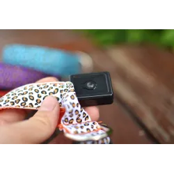 Obroża LED dla psa - bezpieczny nocny spacer - kolorowy wzór w panterkęObroże & Smycze