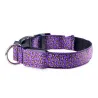 LED-Hundehalsband - Safety Night Walk - bunter Leoparden-Print