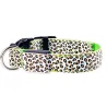 LED-Hundehalsband - Safety Night Walk - bunter Leoparden-Print