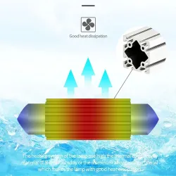 LED3030 FESTOON - C5W - CANBUS - Bombilla LED - 31mm - 36mm - 39mm - 41mm - resistente al agua