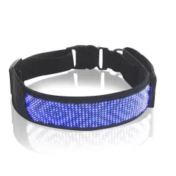 Katzen- / Hundehalsband - LED - Bluetooth - digitales interaktives Lauflicht