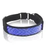 Katzen- / Hundehalsband - LED - Bluetooth - digitales interaktives Lauflicht