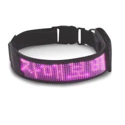 Katzen- / Hundehalsband - LED - Bluetooth - digitales interaktives Lauflicht