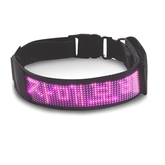 Katzen- / Hundehalsband - LED - Bluetooth - digitales interaktives Lauflicht