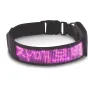 Katzen- / Hundehalsband - LED - Bluetooth - digitales interaktives Lauflicht