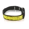 Hondenhalsband - LED - Bluetooth - digitaal interactief scrolllichtHalsbanden en lijnen