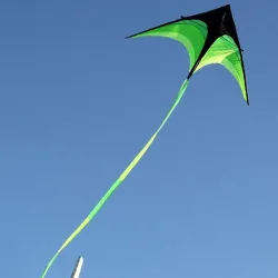 CometaCometa súper grande - negra - verde - con hilo - 160 cm
