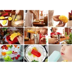 Moule à glace - avec support - acier inoxydable
