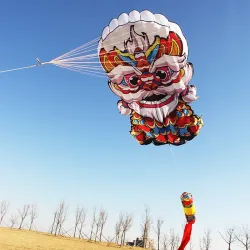 Cerf-volant de lion 3D coloré - avec poignée / ligne
