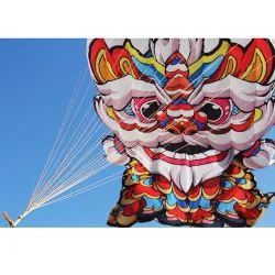 Färgglad 3D lejondrake - med handtag / lina