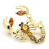 Krystal skorpion broche