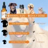 Essential calming oil drops - for dogs / cats / petsCare